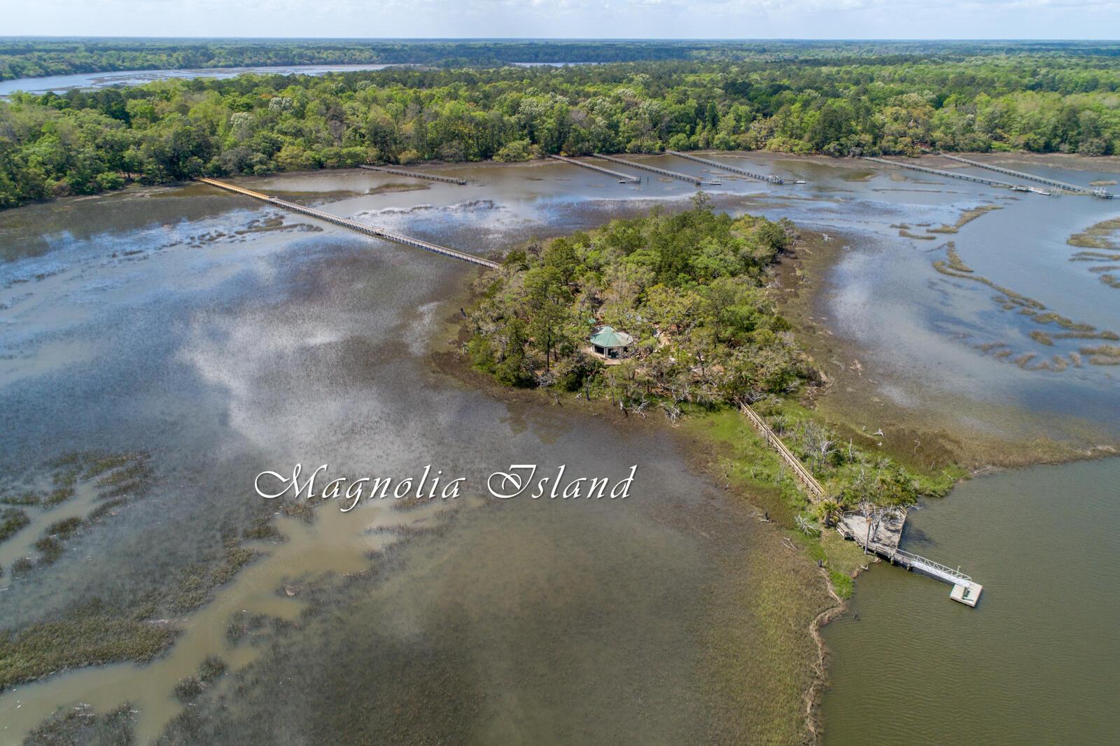 Image 4: Bull Point-5.jpg-FULL