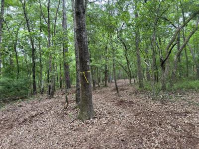 Lot #2 Chaplin'S Landing
