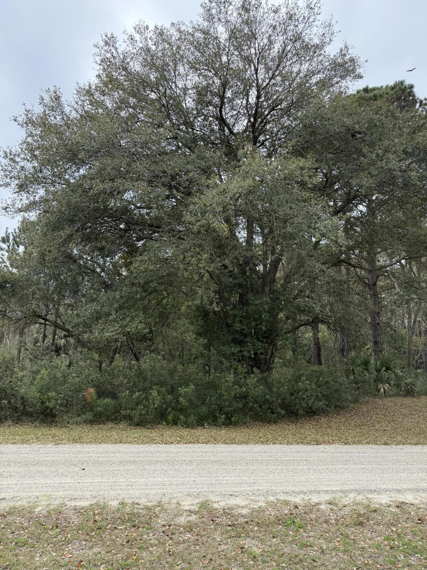 Image 2: 1