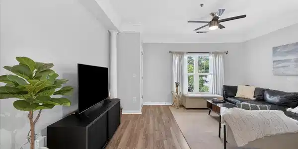 Image 4: Living Room