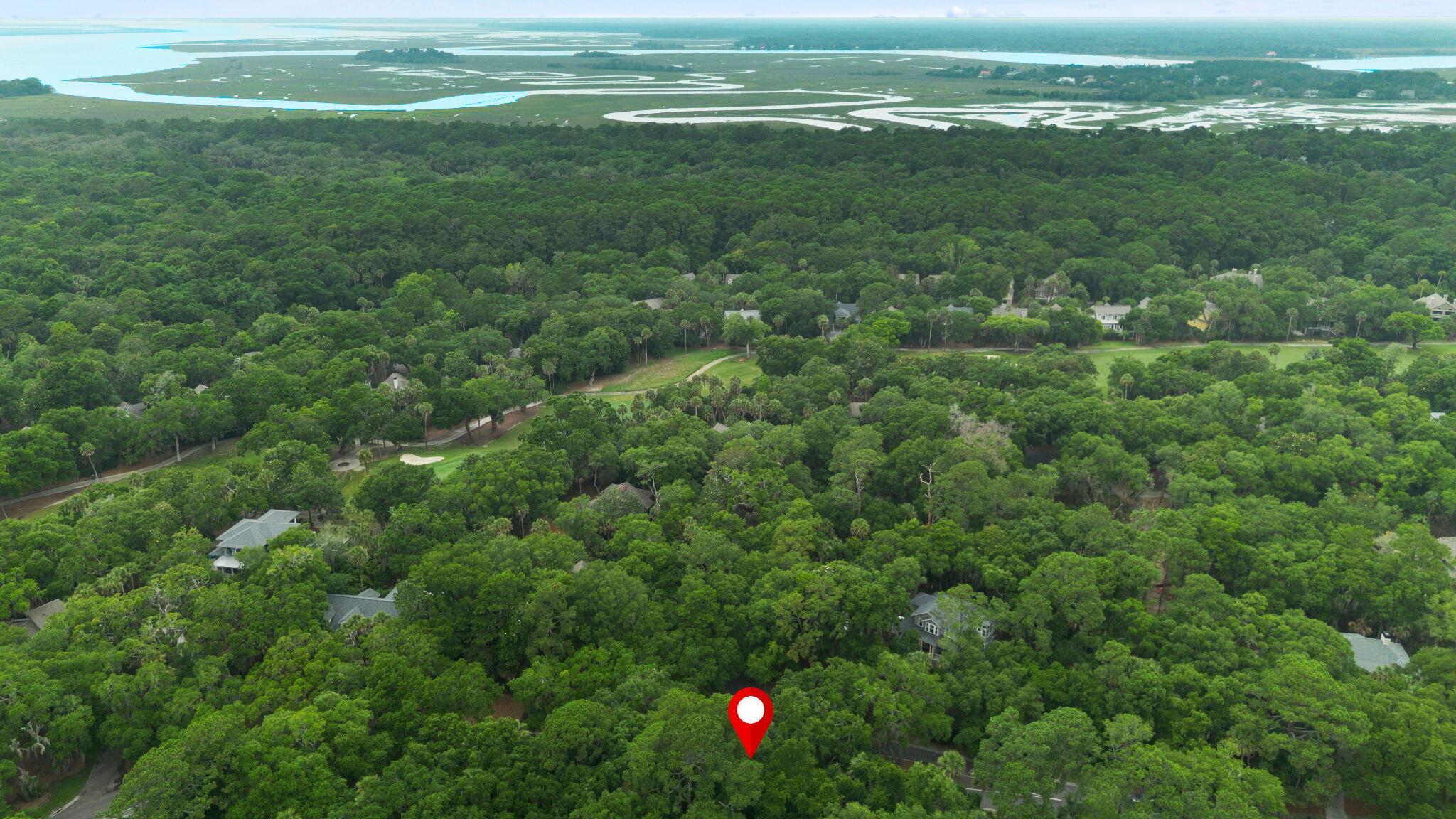 Image 3: Aerial View