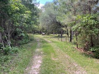 Image 3: thumbnail_IMG_0673