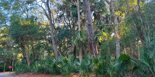 3137 Privateer Creek Road