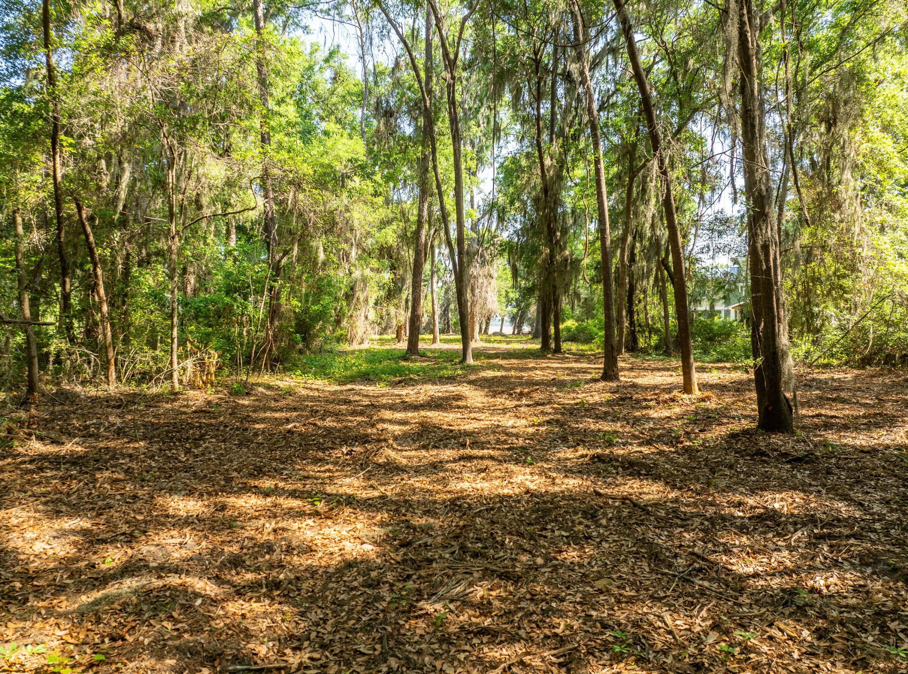 Image 3: DJI_0943-1.jpg-SMALL