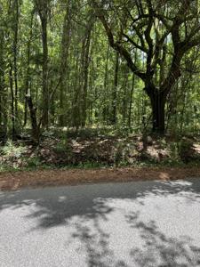 Cane Slash Road