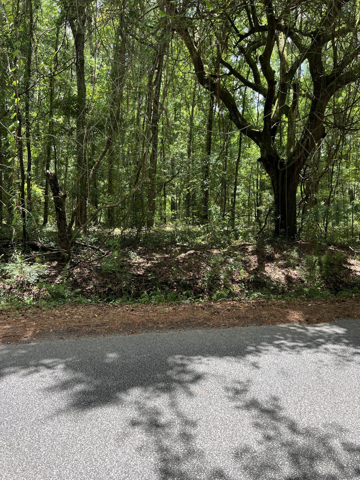 Image 1: MLS picture