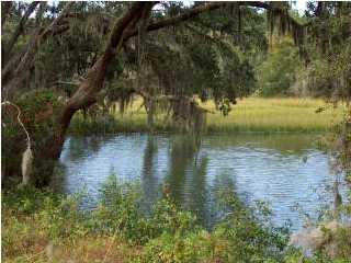 Fenwick Plantation Road
