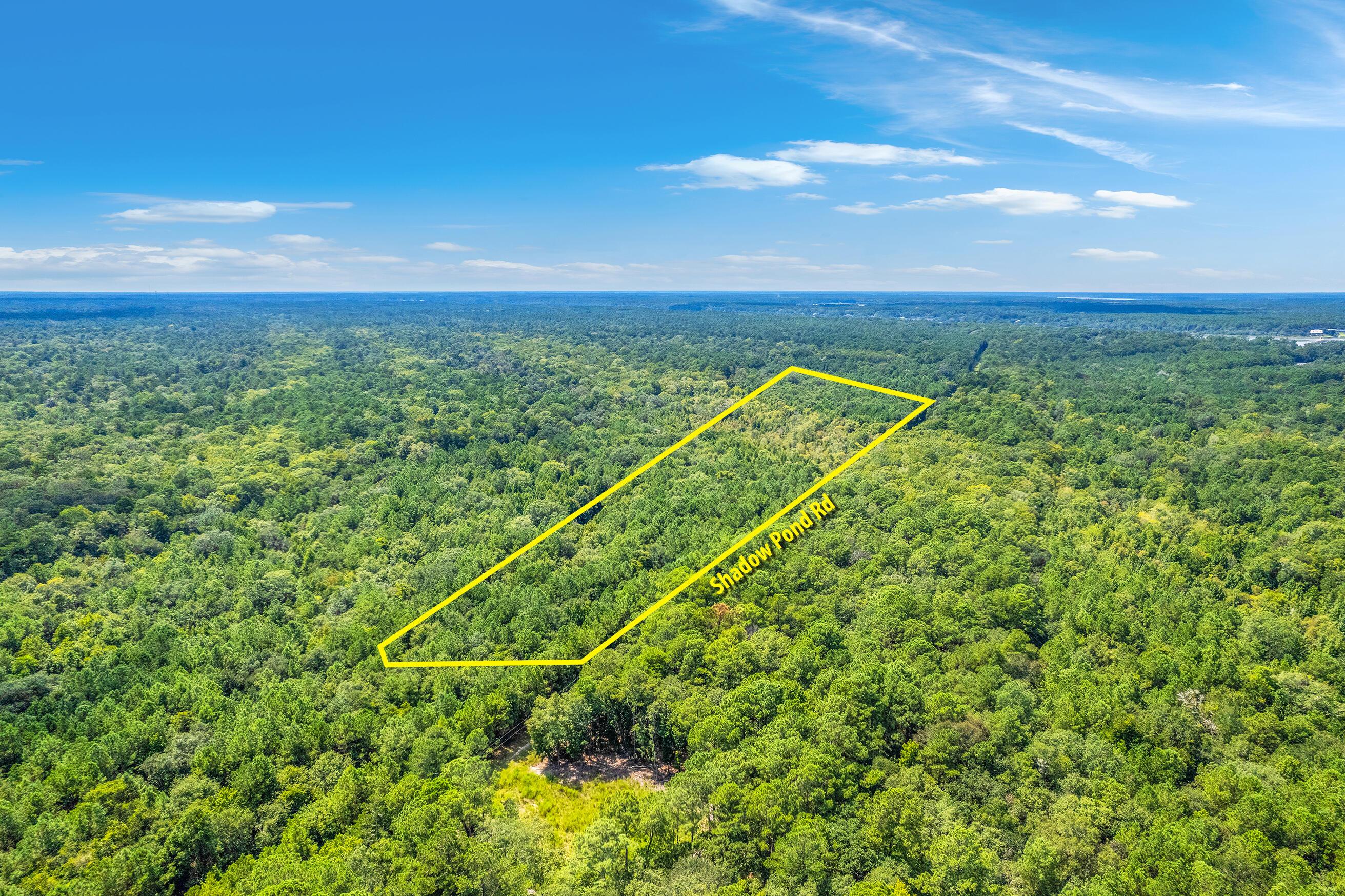 Image 2: Zyndicate2431-2