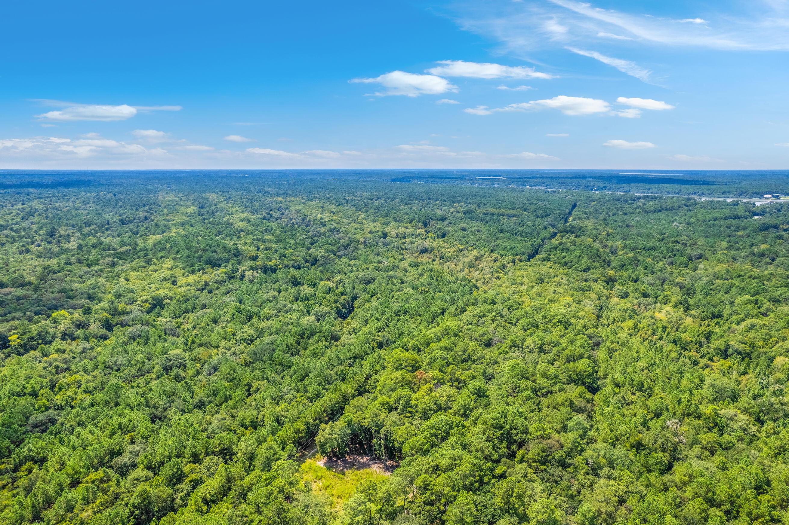 Image 3: Zyndicate2432