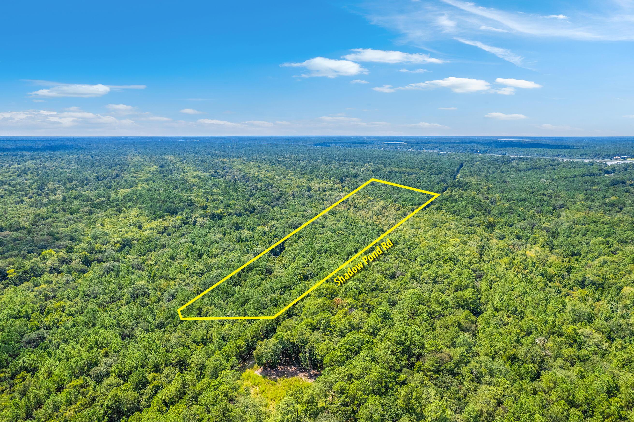 Image 4: Zyndicate2432-2