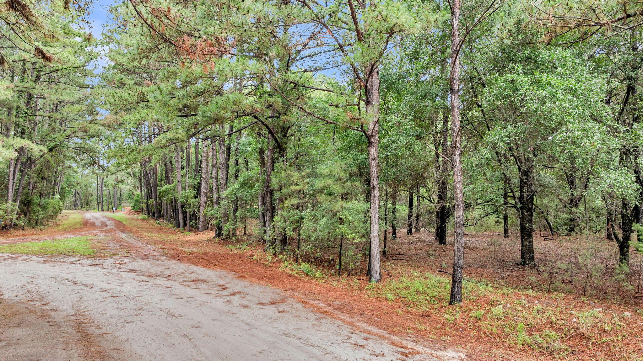 Image 3: CREM - 0 Josie Ridge Rd Lot 23-17
