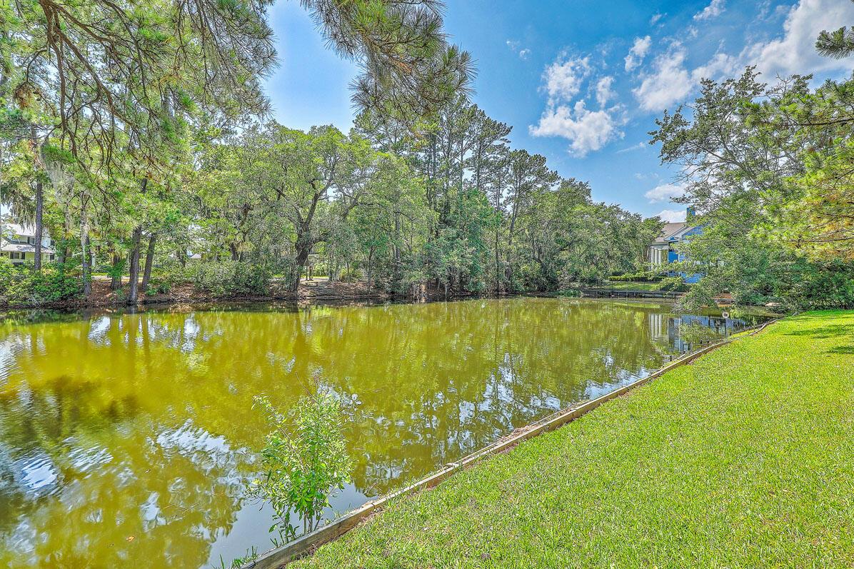 Image 4: 17 Johnson Road pond view