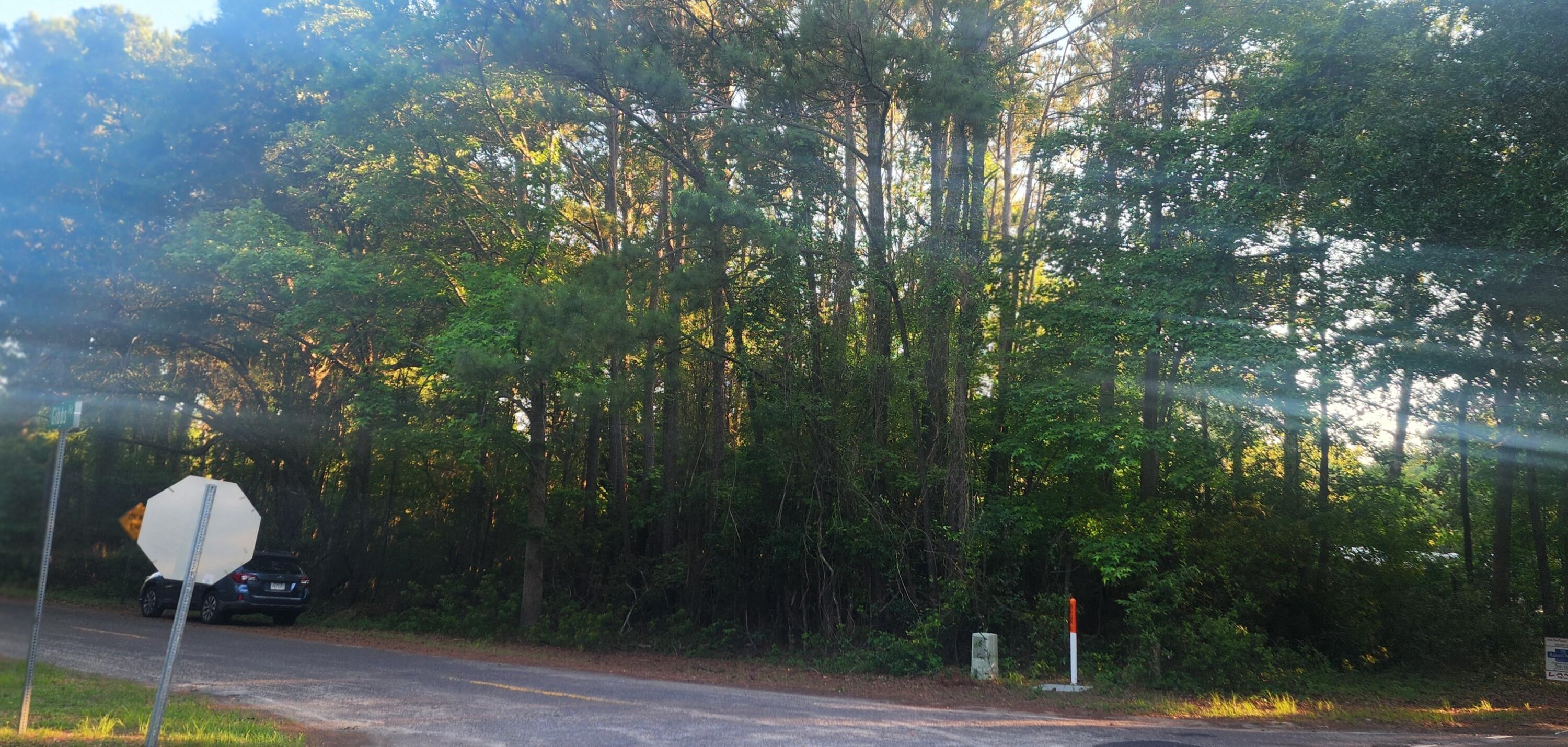Image 1: Corner_Gibbs_Legareville
