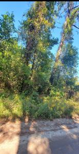 3048 Thomas Jones Road