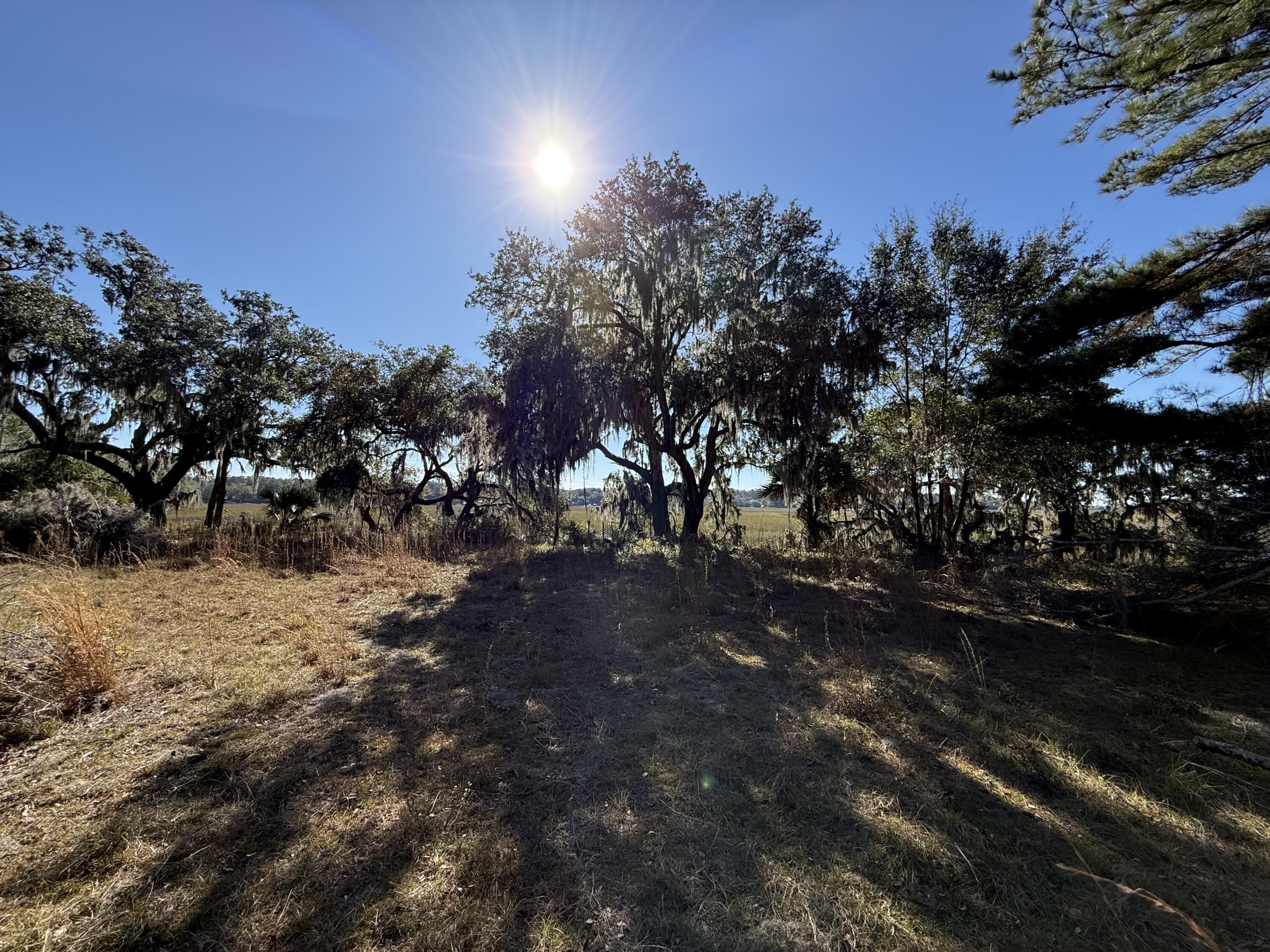 Image 3: 8341 Crooked Creek Lane