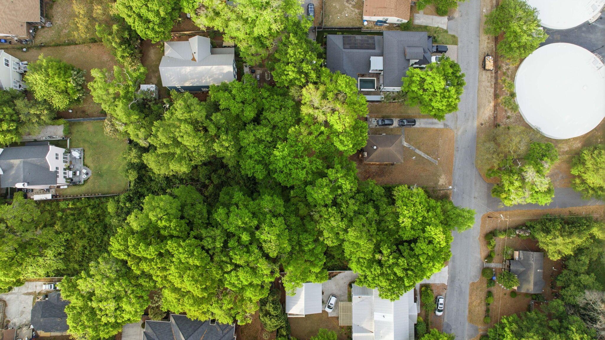 Image 3: Aerial