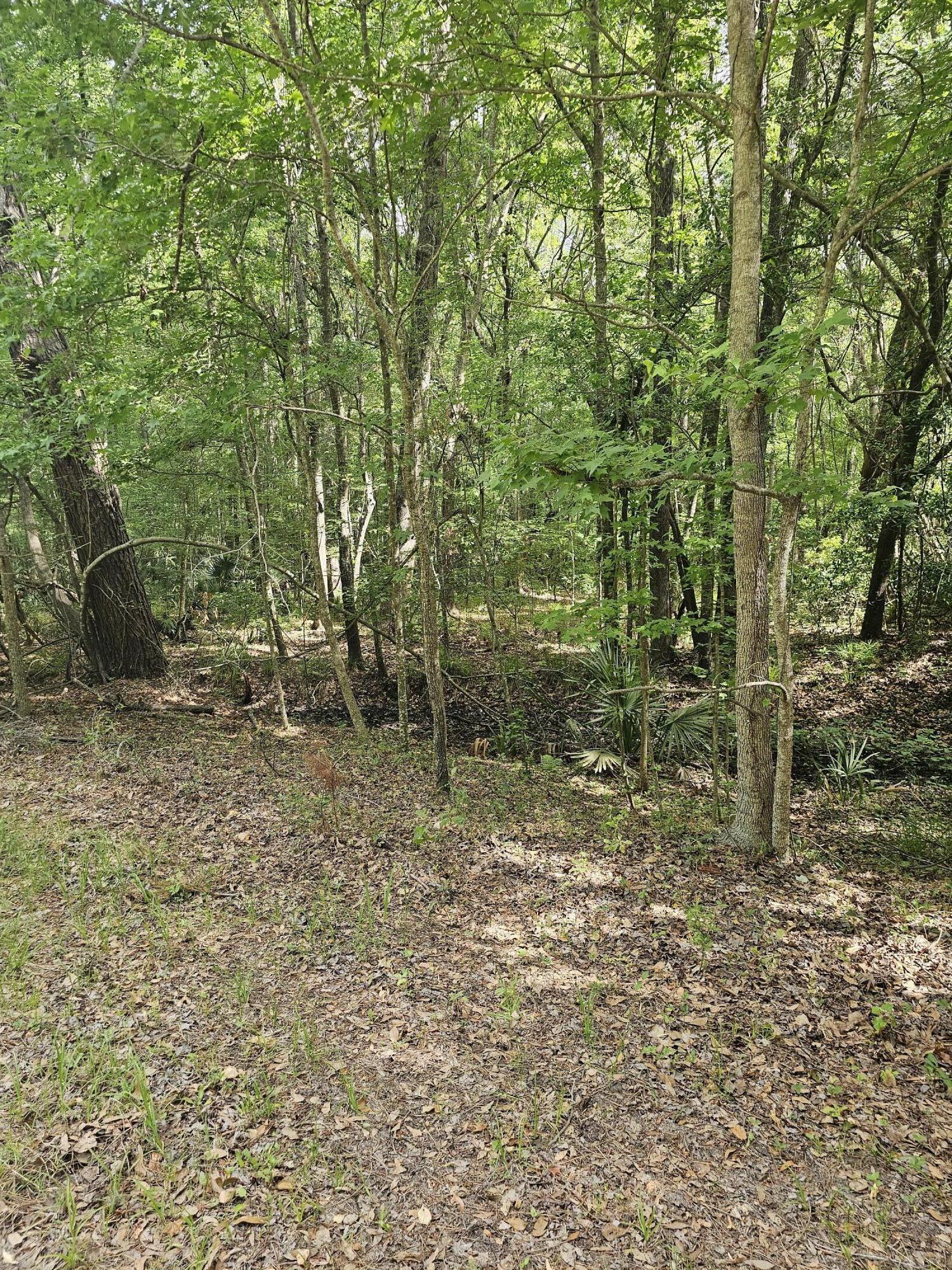 Image 2: Pic2