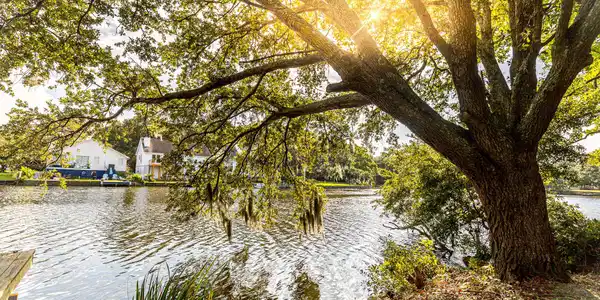 713 Lake Frances Drive