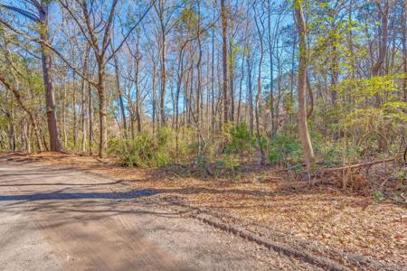 3149 Thomas Jones Road