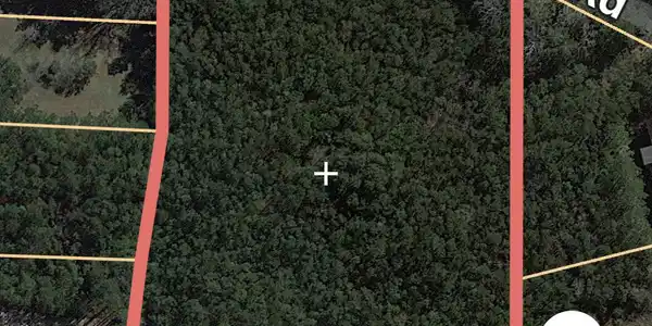 Image 2: 82F51342-4BF6-4D45-9E0D-5CA295D56795