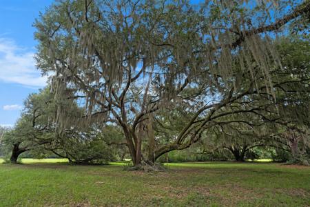 7817 Little Britton Road