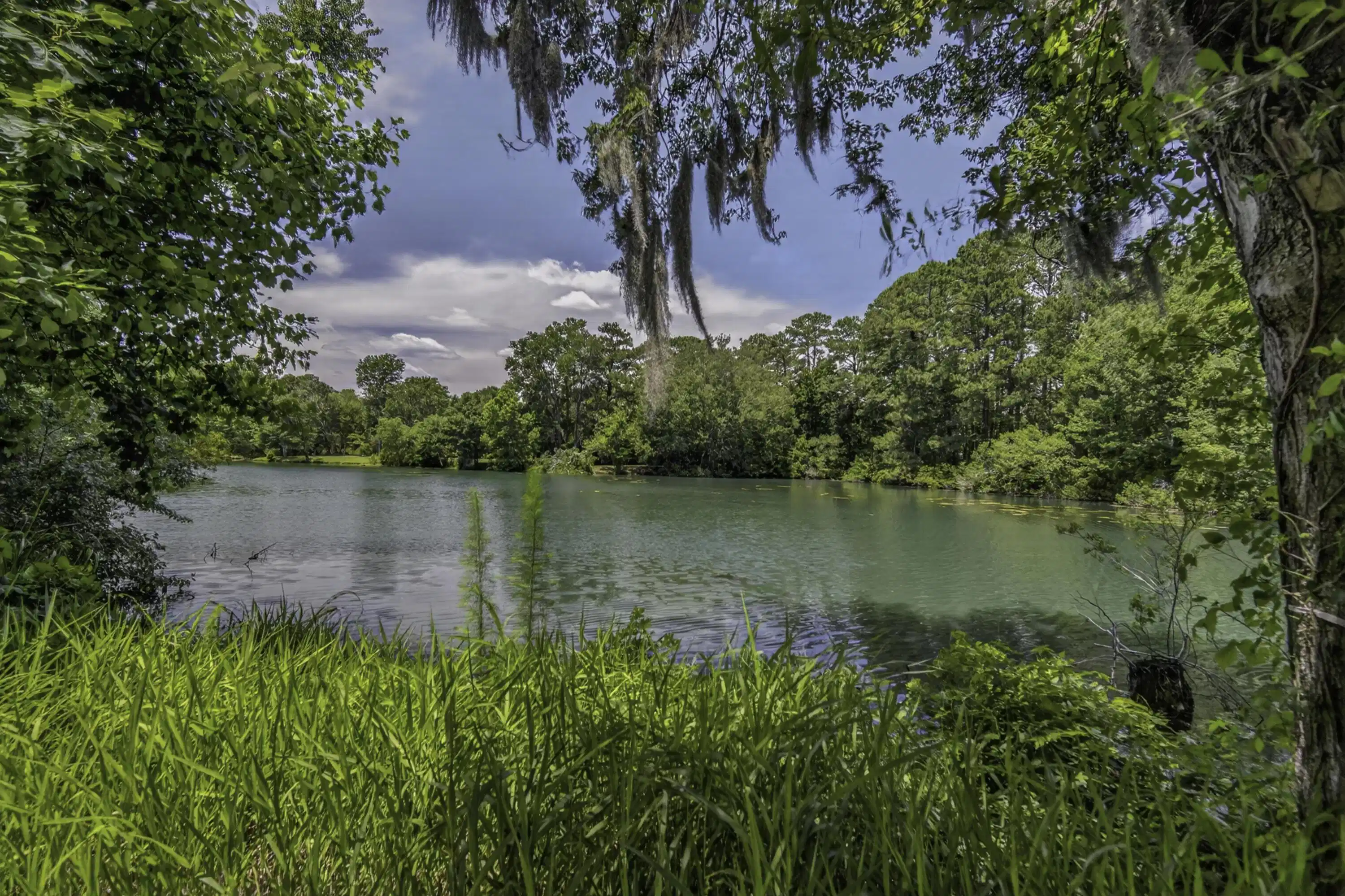 Image 1: Patio View Of 58 Beaver Pond Loop
