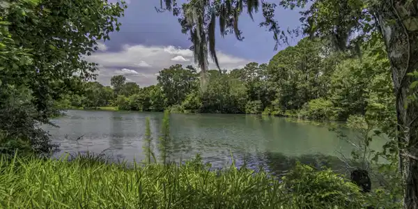 58 Beaver Pond Loop