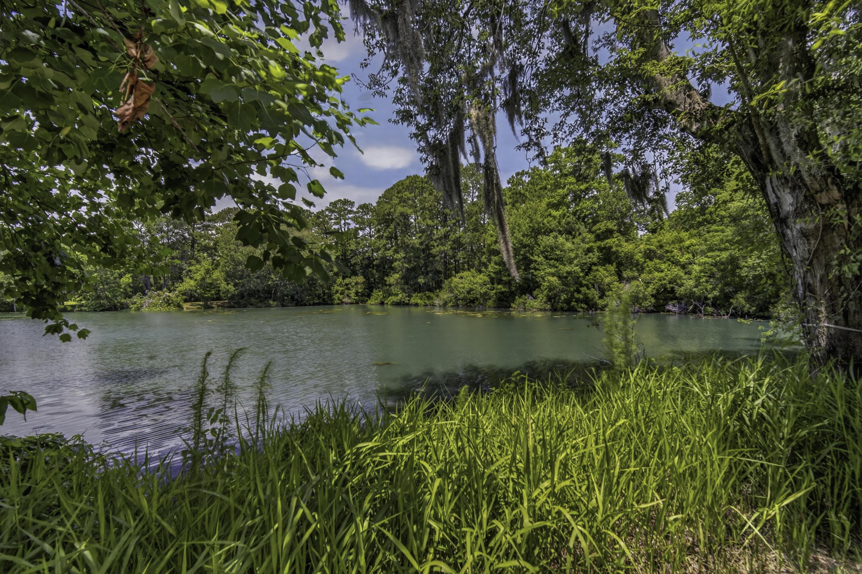 Image 2: Water View