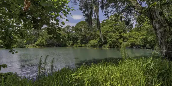Image 2: Water View