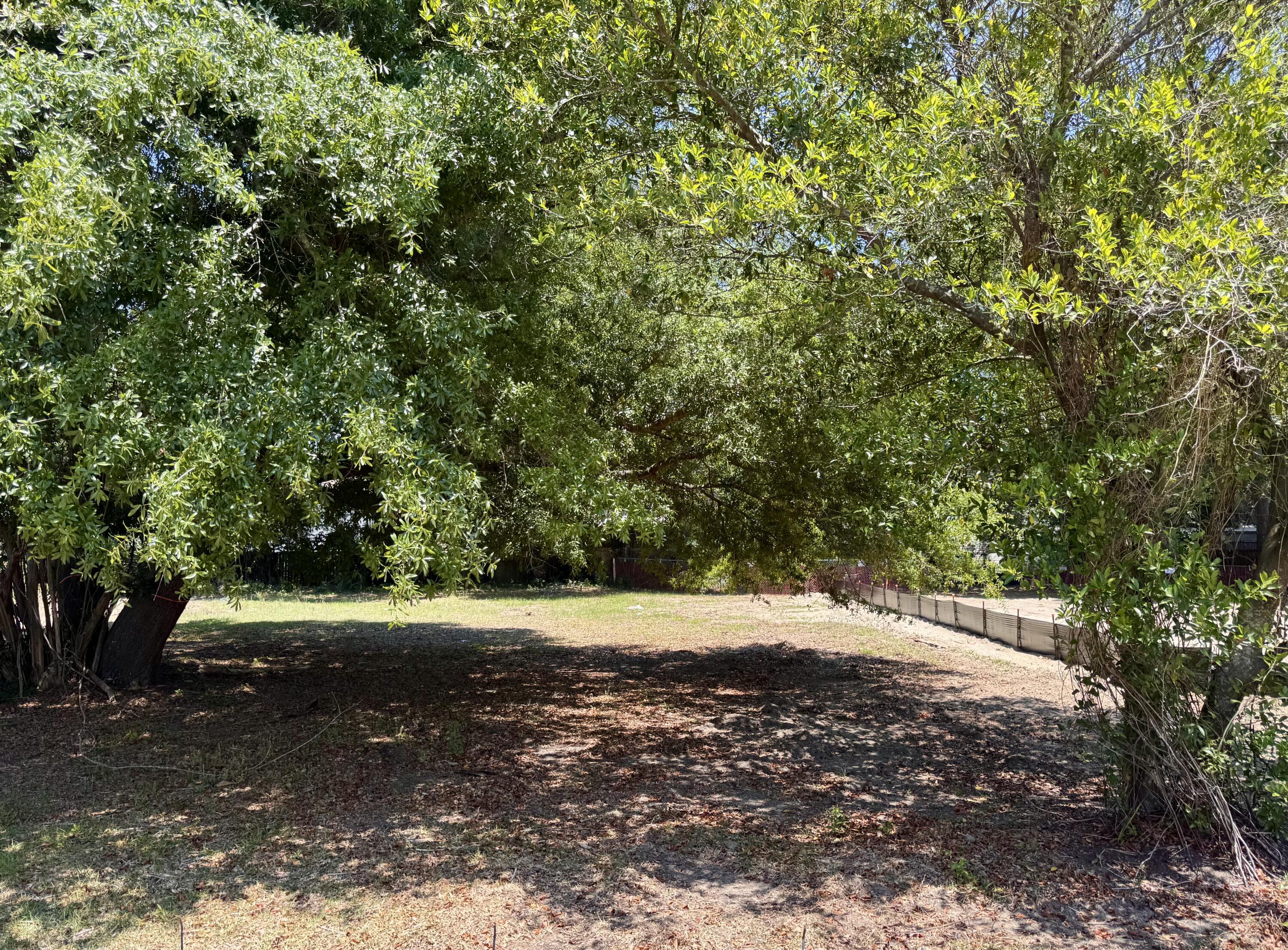 Image 3: IMG_3601