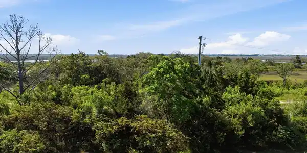Image 4: 4