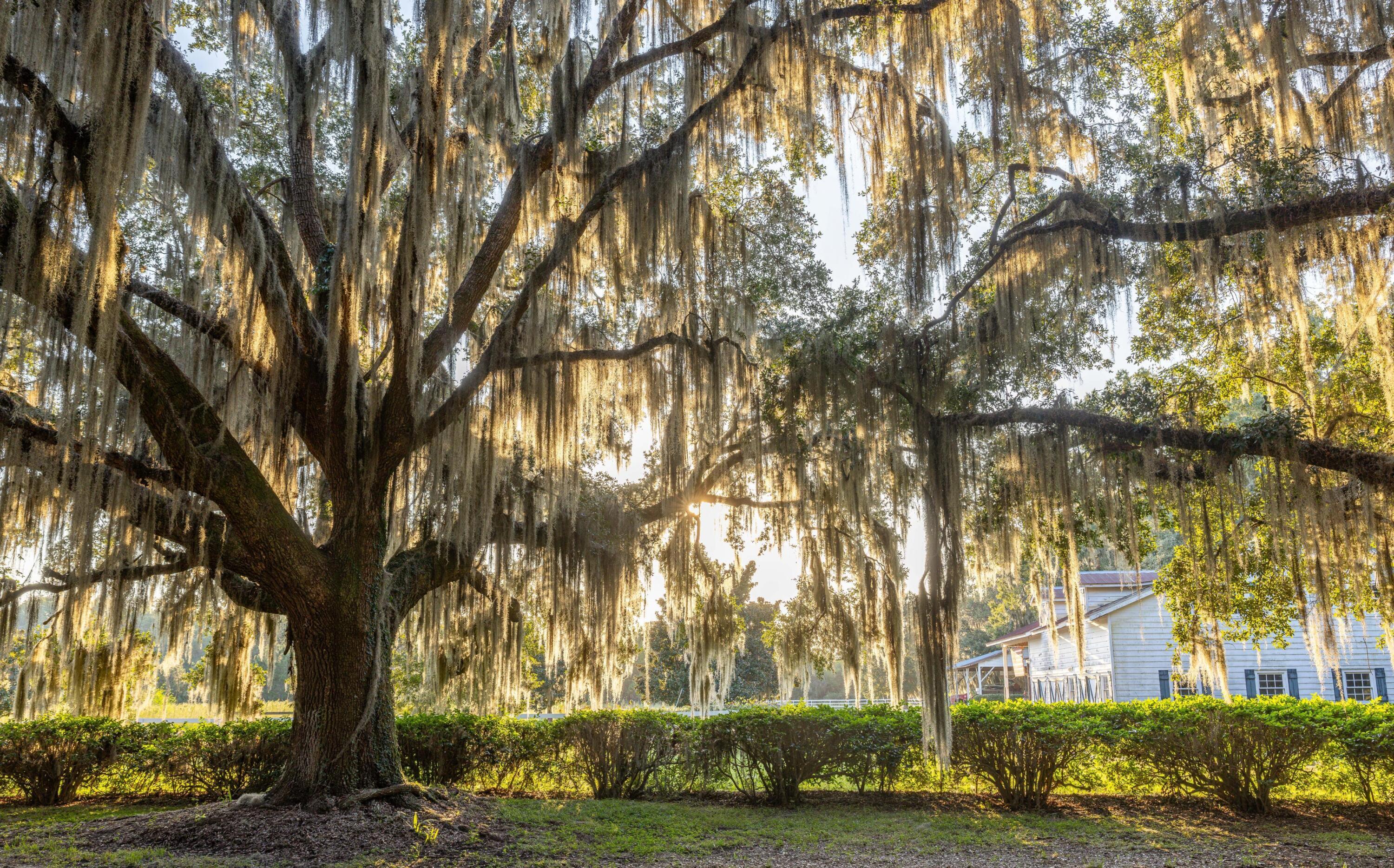 Image 4: 183792-Ellis%20Creek%20Photography%20Par