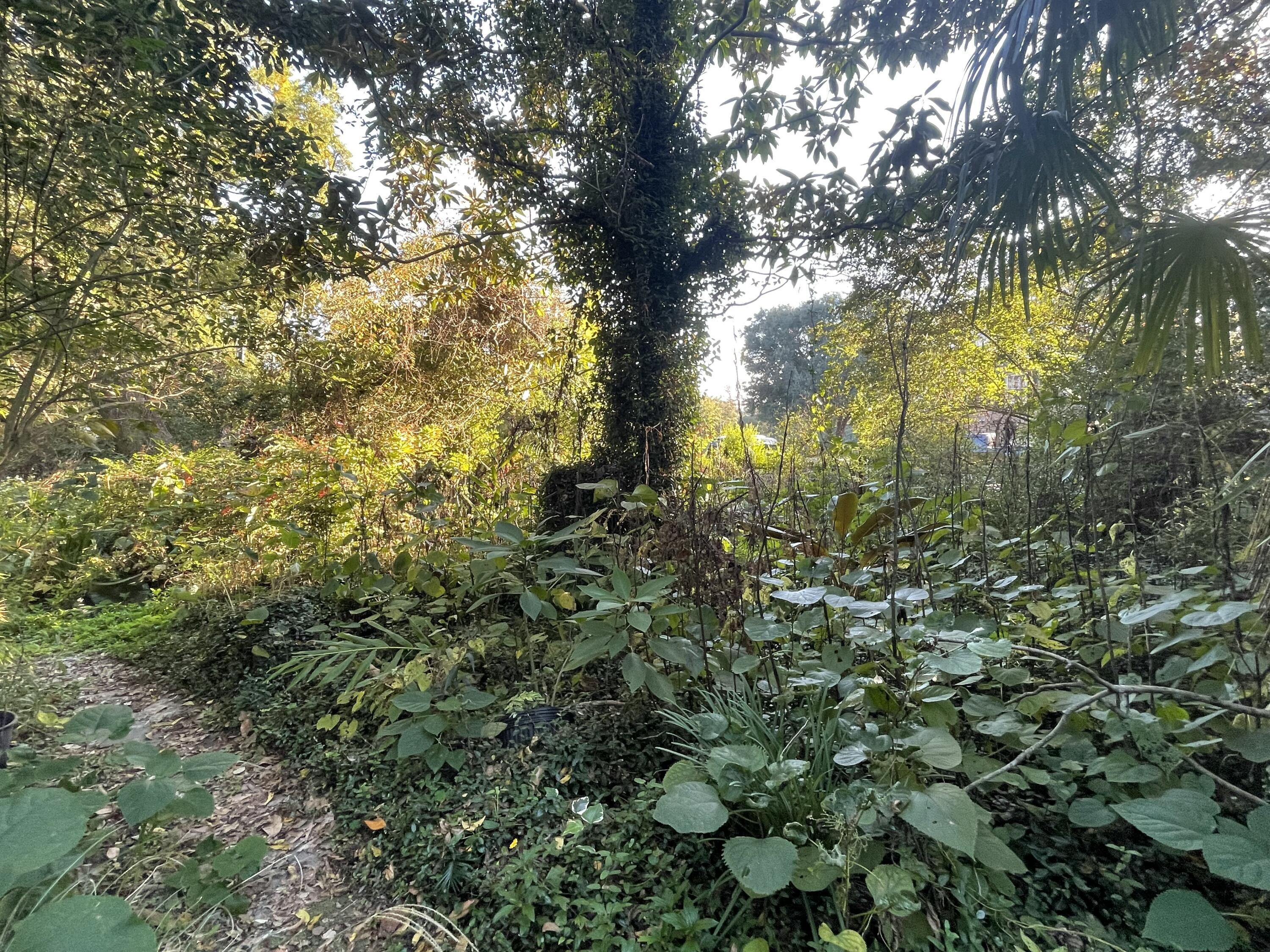 Image 3: IMG_9812