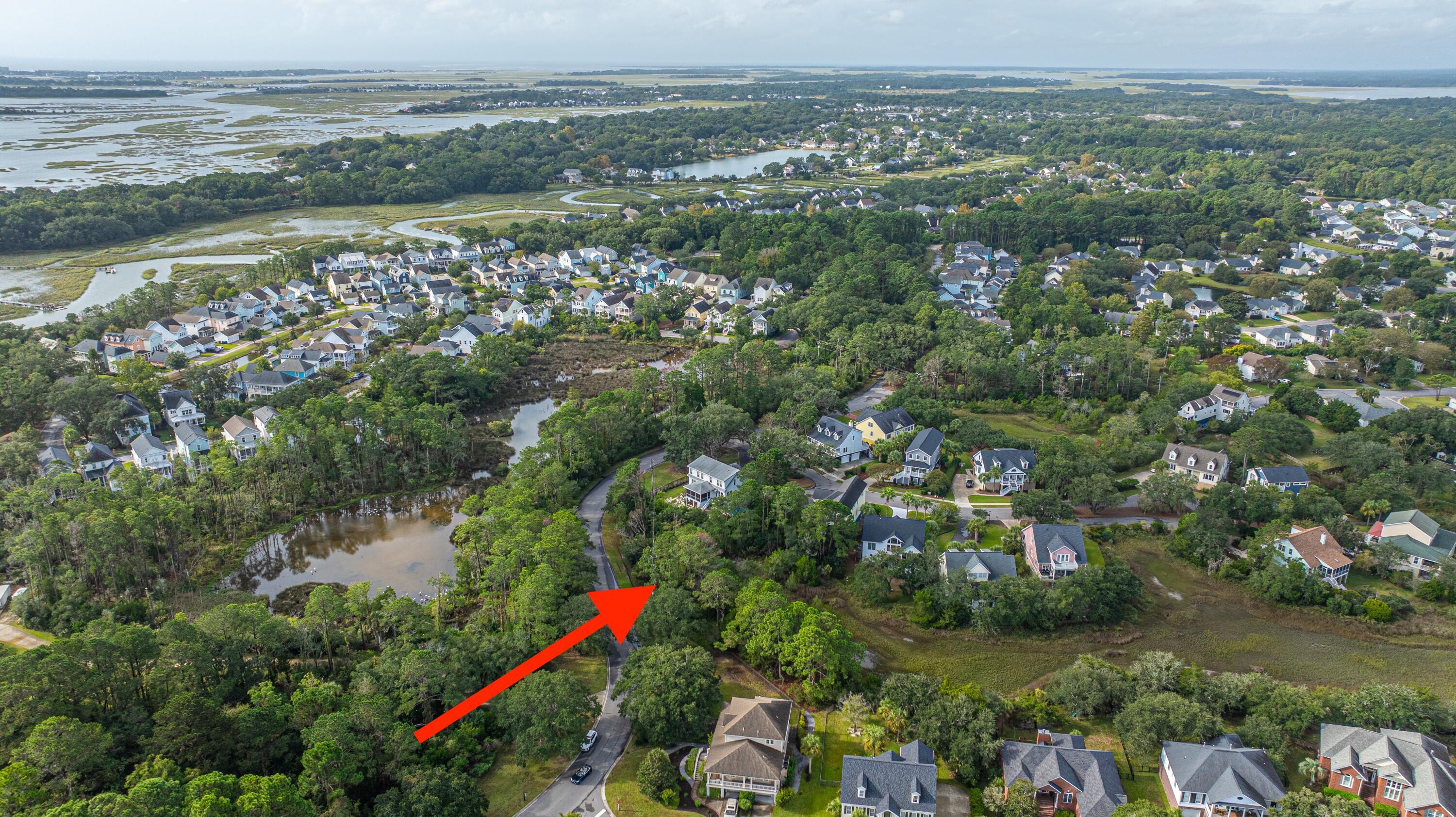 Image 3: 1250SeasidePlantation027