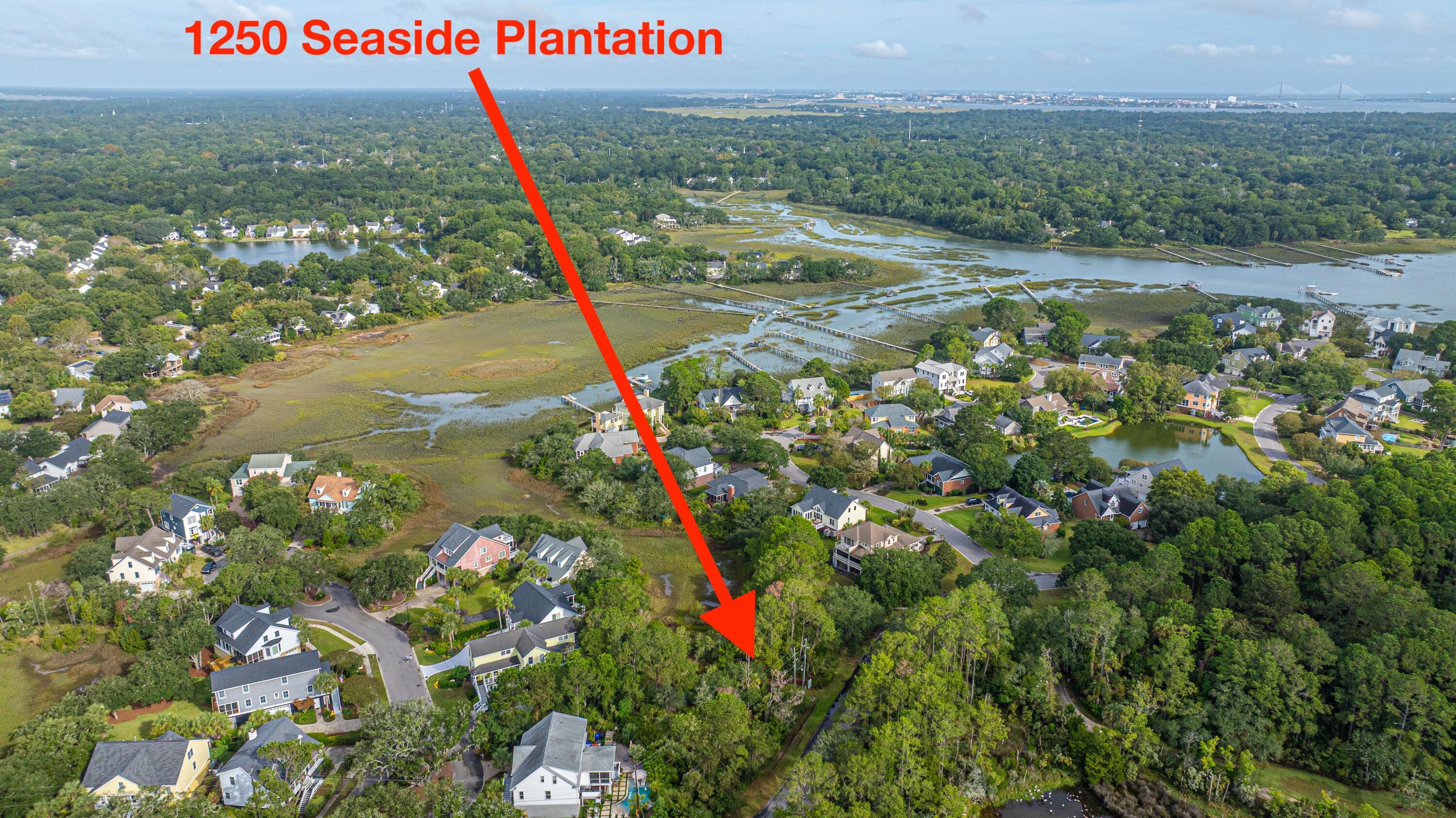 Image 4: 1250SeasidePlantation013