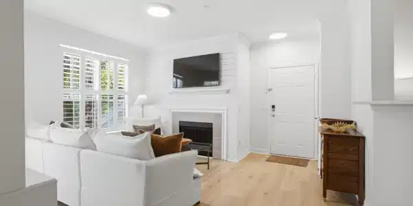 Image 4: Living Room and Entry