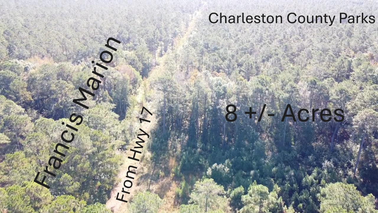 Image 2: hwy 17 photo