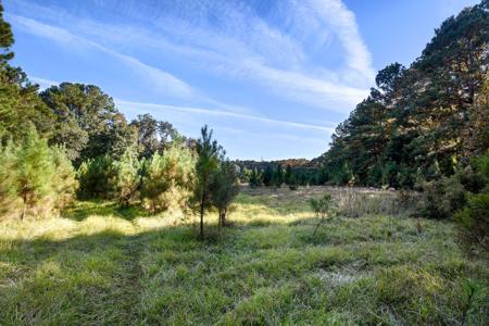 2476 Joseph Pearline Road