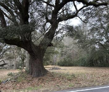 4244 River Road