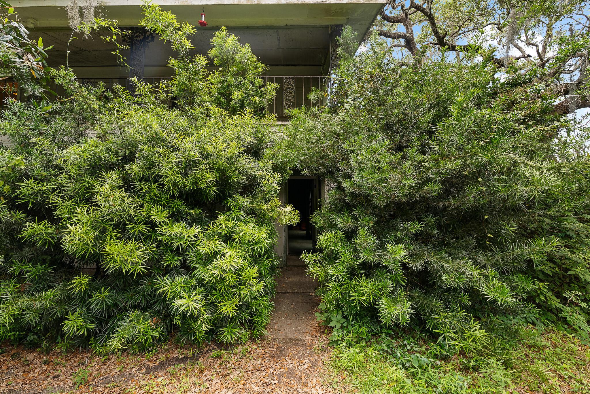 Image 4: Toolbox_WappooHouse_23