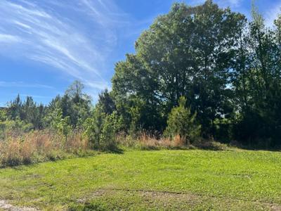 6546 Ethel Post Office Road, Meggett SC 29449