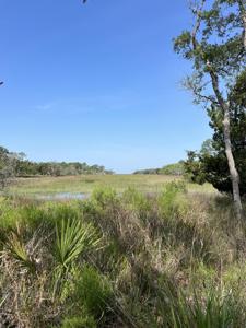 Whooping Island Creek Drive