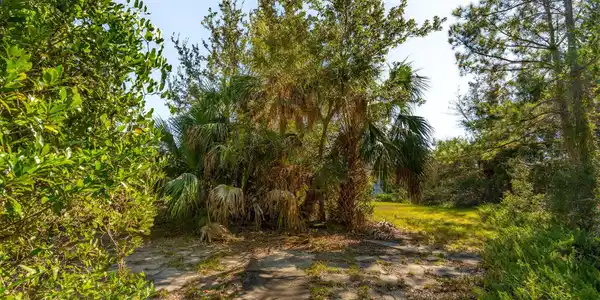 Image 4: 4