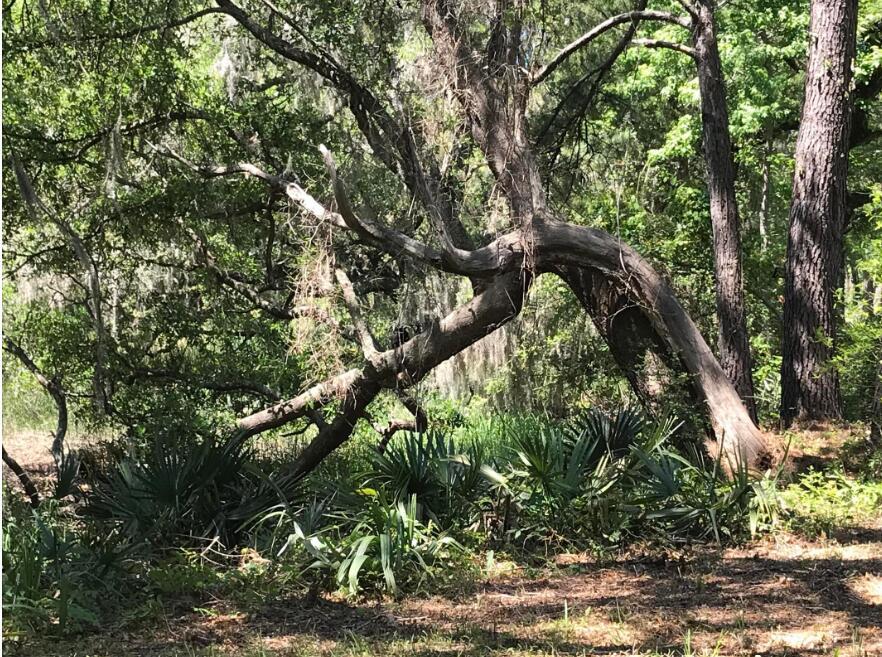 Image 2: Lot 3