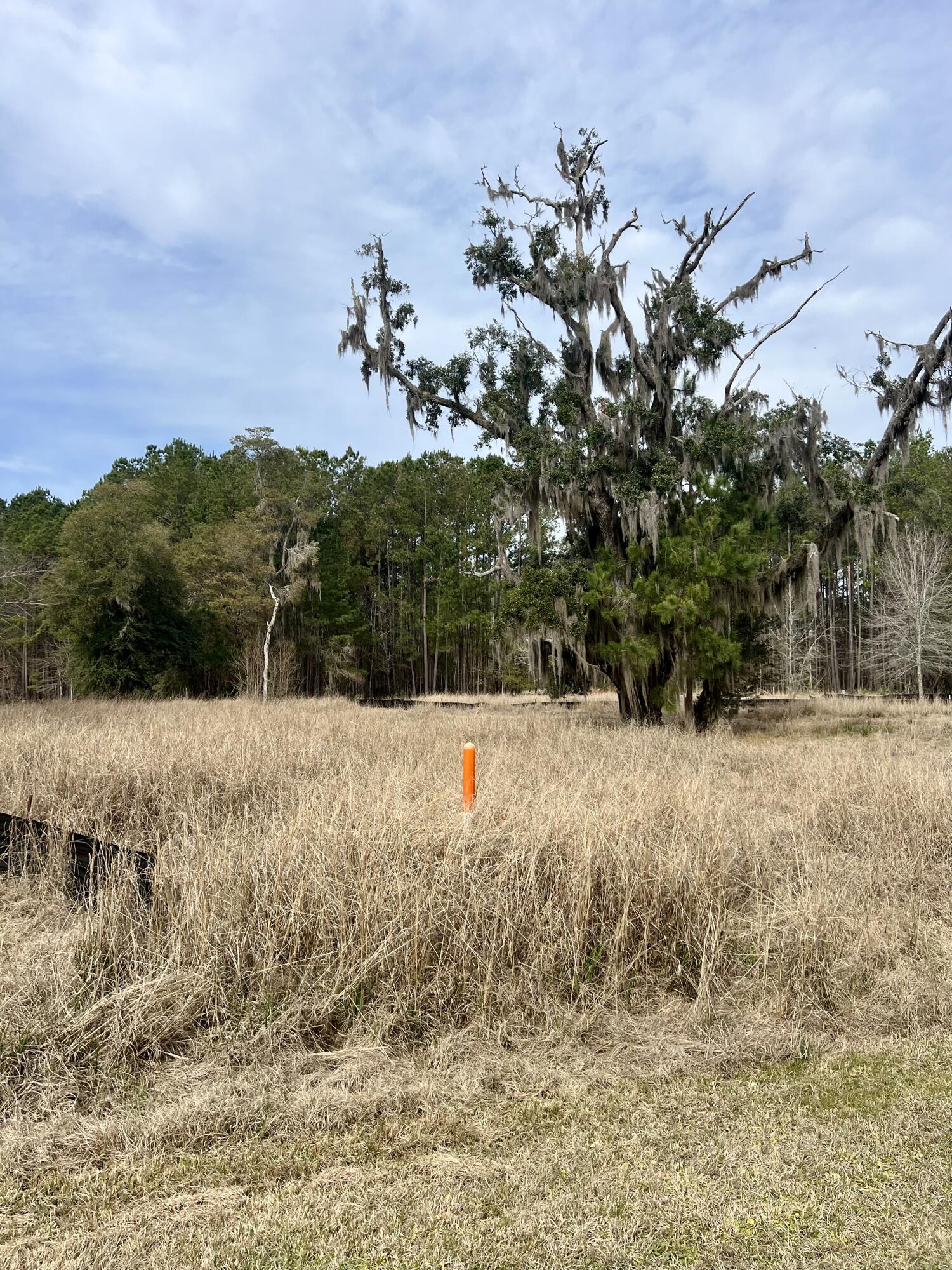 Image 3: Lot 96