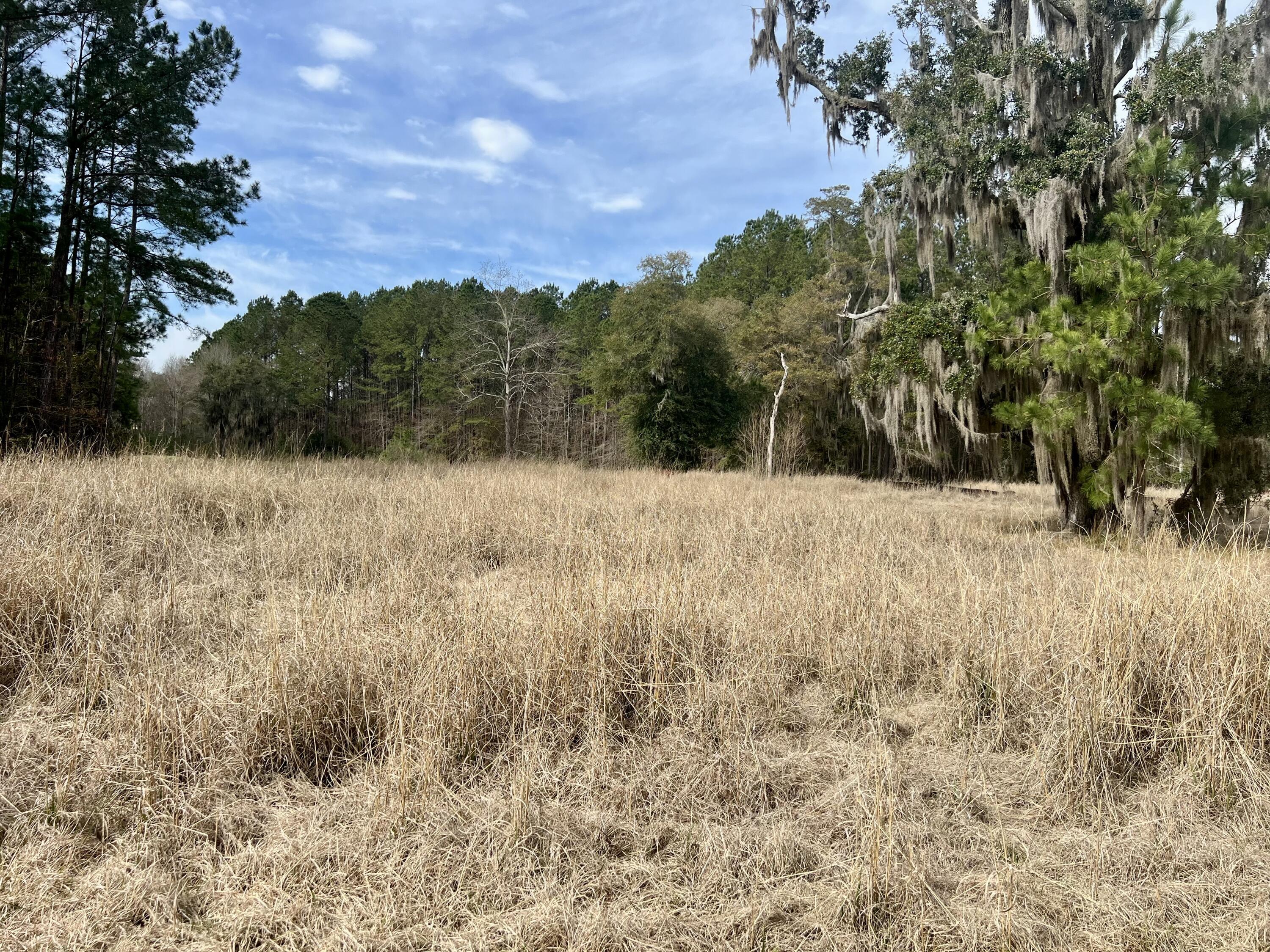 Image 4: Lot 96