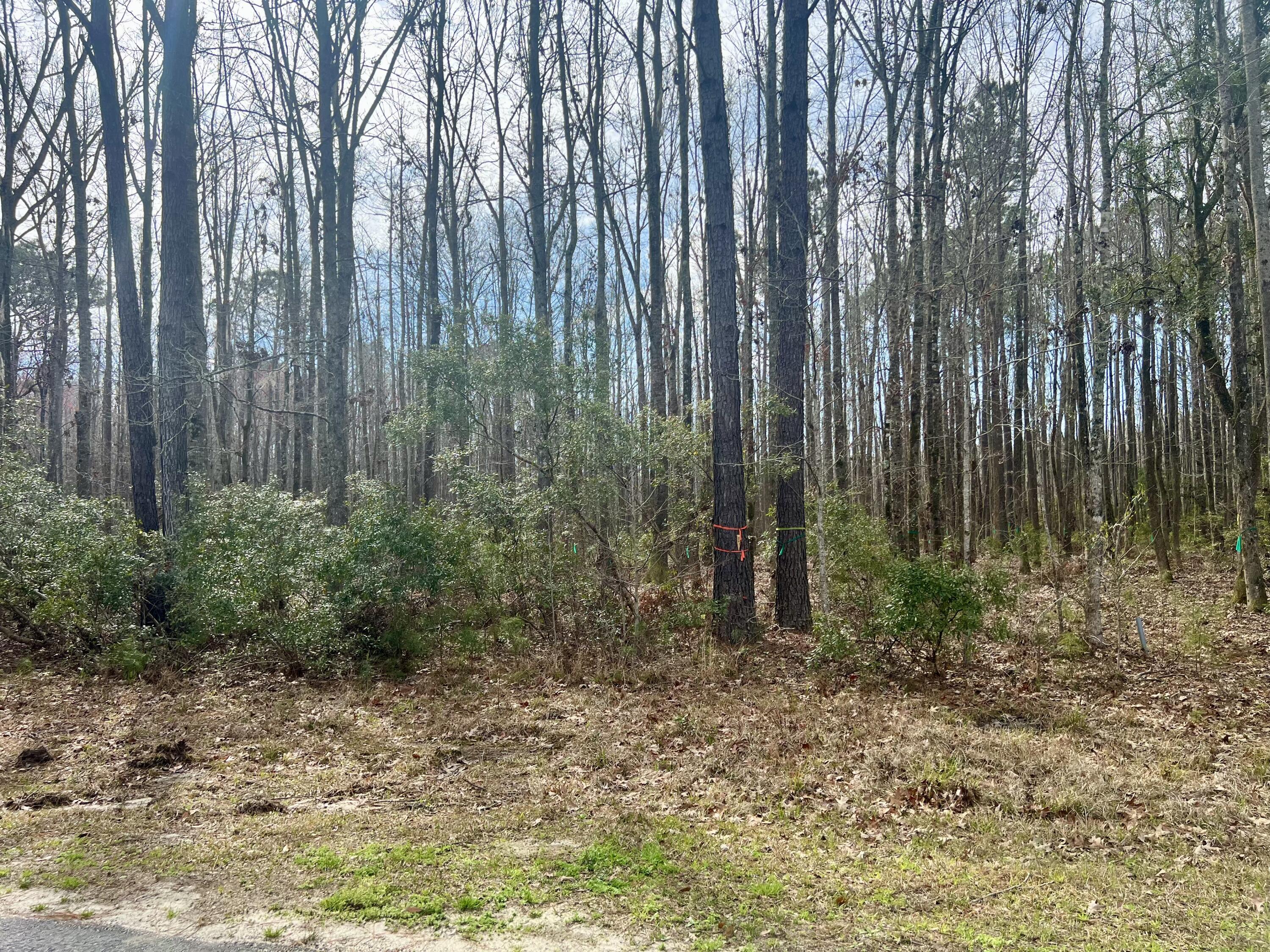 Image 3: Lot 5