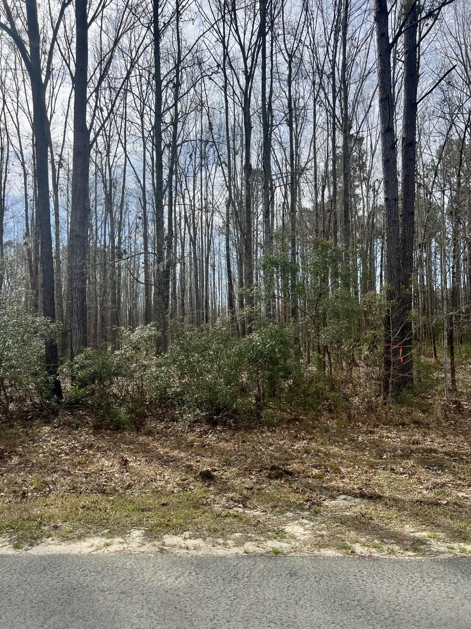Image 4: Lot 5