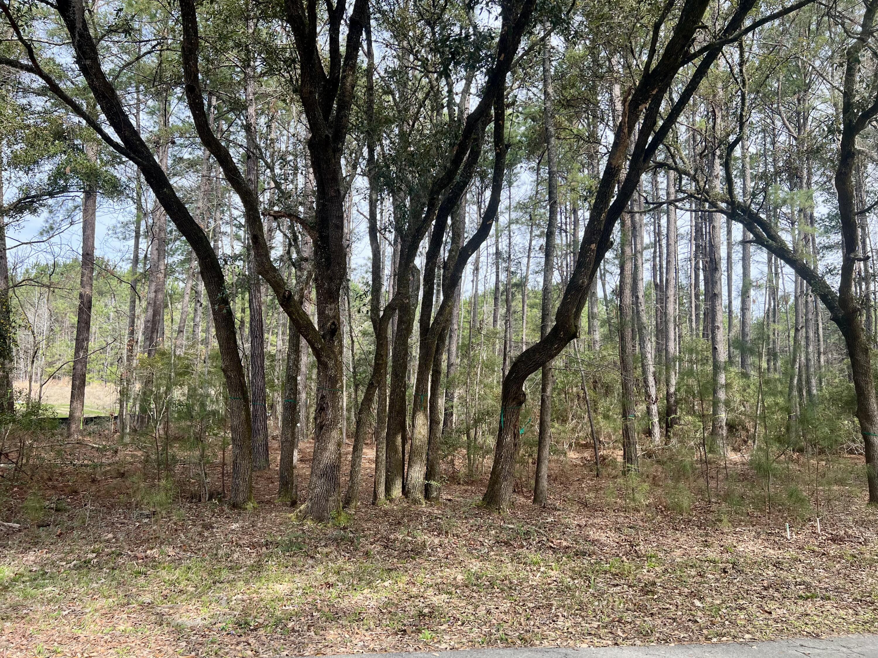 Image 3: Lot 28