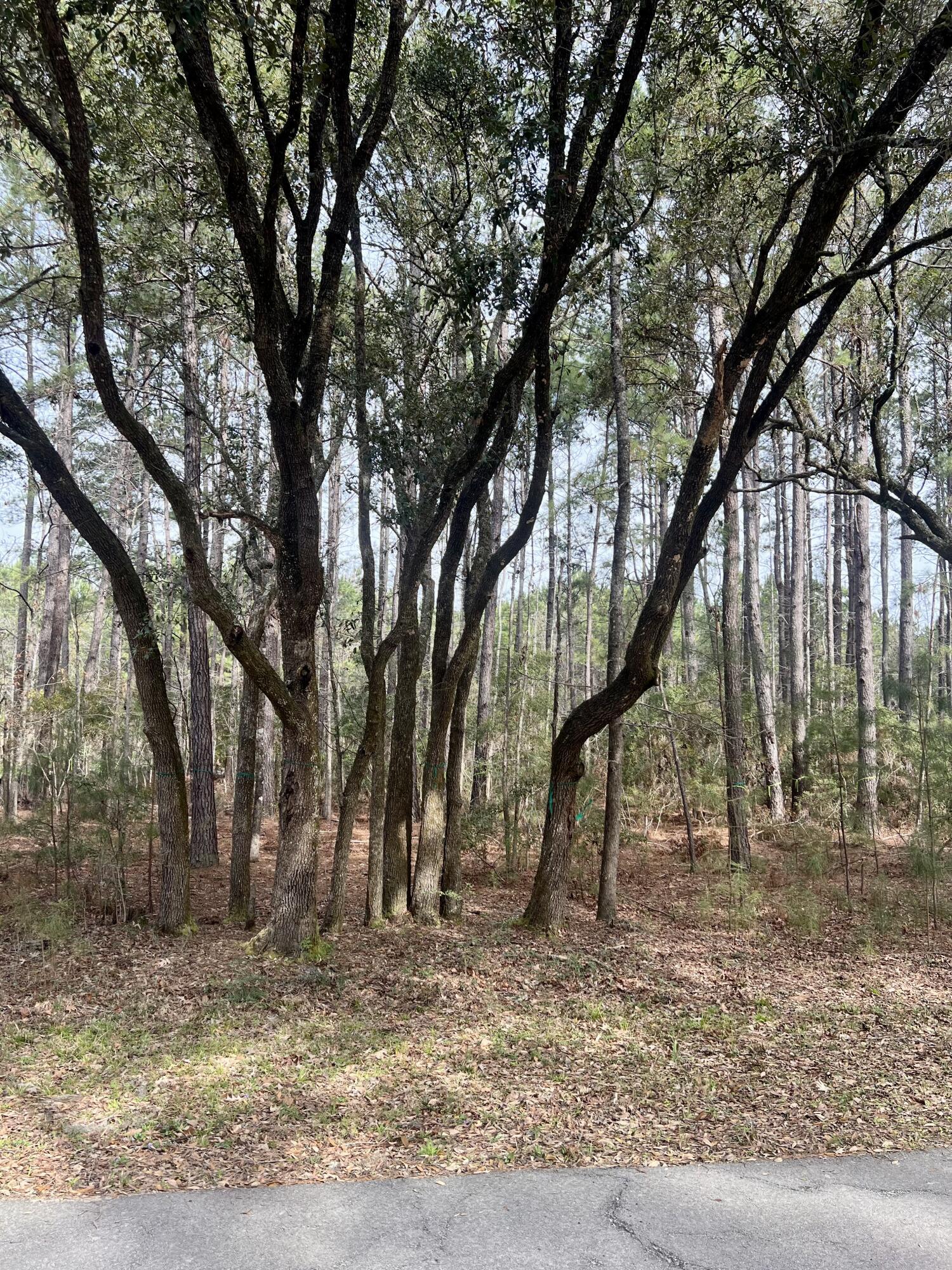 Image 4: Lot 28